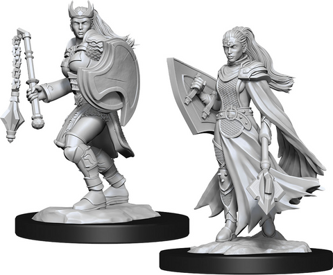 D&D Nolzur's Marvelous Miniatures: W14 Kalashtar Cleric [Unpainted]
