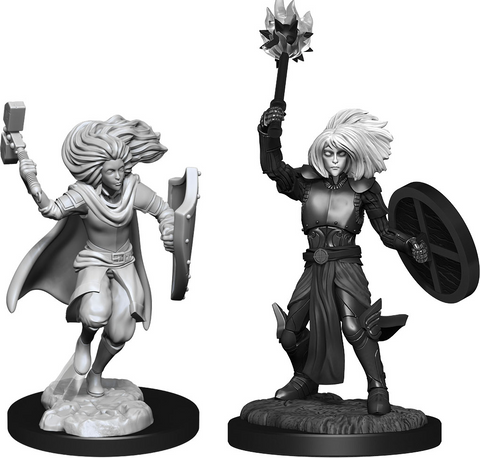 D&D Nolzur's Marvelous Miniatures: W14 Changeling Cleric [Unpainted]
