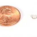 Rare Earth Magnets - 1/8" diameter x 1/32" width (50ct)