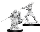 D&D Nolzur's Marvelous Miniatures: W10 Human Paladin [Unpainted]