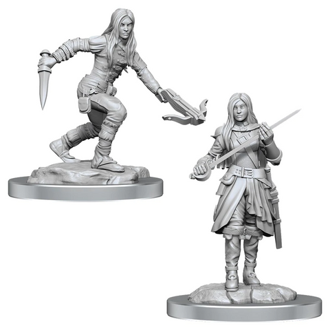 D&D Nolzur's Marvelous Miniatures: W17 Half-Elf Rogue [Unpainted]